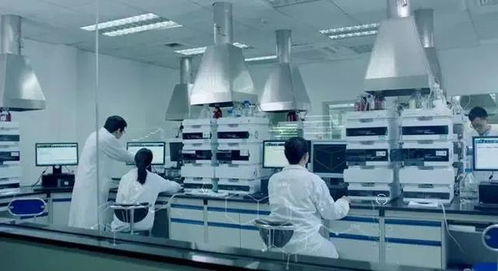 當醫藥巨頭跨界營養品 三十年經驗如何重塑熱能產品研發新范式